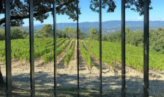 Kunst in al zijn facetten. Het Château La Coste? Een kunstfestijn